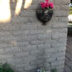 Main house wall with roses
