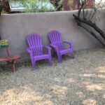purple chairs front